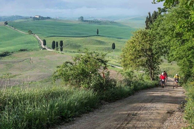 Chianti Wine Tour included meal & tasting at Winery (6hrs) - Key Points
