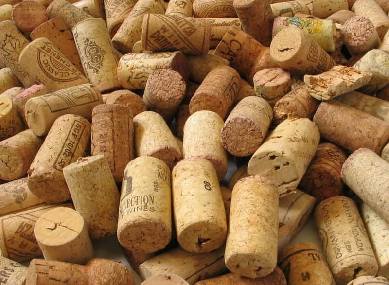 Chianti Wine Tour included meal & tasting at Winery (6hrs) - The Full Experience: What to Expect on the Chateau & Vineyards Tour