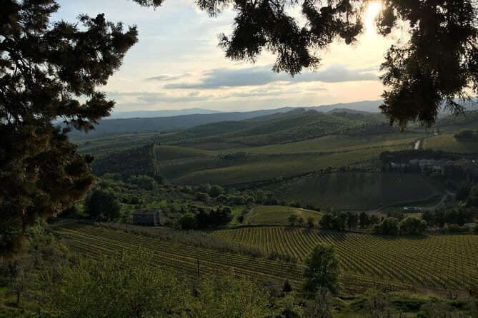 Chianti Wine Tour - Private Wine experience in Tuscany Countryside - Pricing and Value