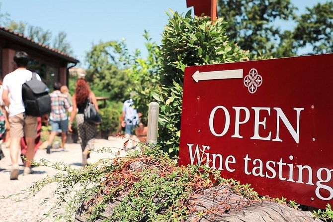 chianti-wine-tour-two-wine-tastings-vineyards-and-cellar-visit