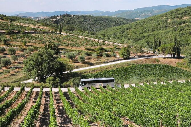 chianti-wine-tour-two-wine-tastings-vineyards-and-cellar-visit