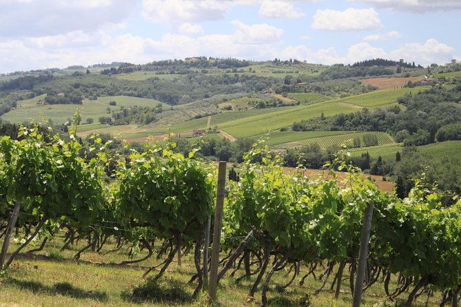 chianti-wine-tour-with-tastings-semi-private-experience-2