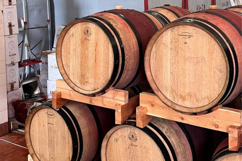 chianti-winery-brolio-castle-private-tour-2