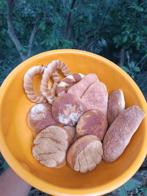 Chiapas: Immersive Zoque Culinary Experience - Key Points