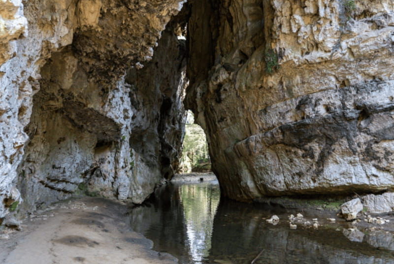 chiapas-rancho-nuevo-caves-and-arcotete-half-day-tour