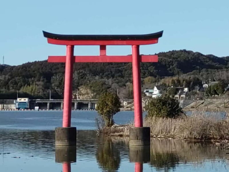Chiba: Okuboso Nature Tour with Local Guide - Detailed Review of the Okuboso Nature Tour