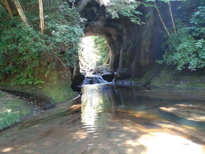 Chiba: Okuboso Nature Tour with Local Guide - The Sum Up