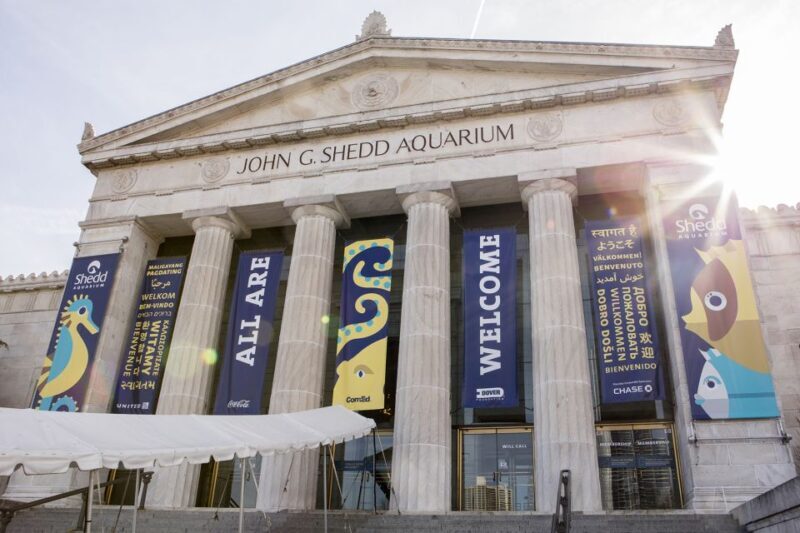 Chicago: Attraction Pass with Shedd Aquarium-Save up to 50%* - Who Will Love This Pass?