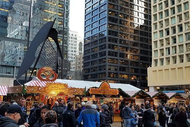 chicago-christmas-loop-tour