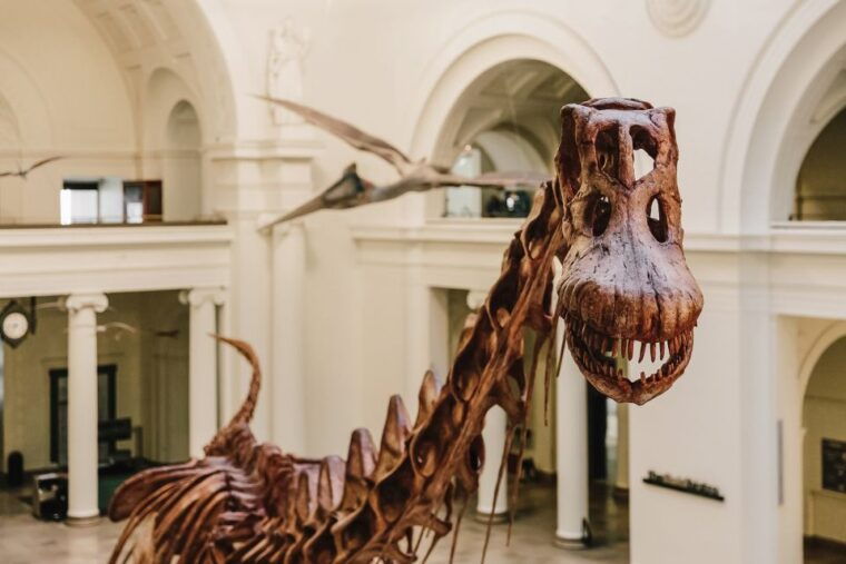 chicago-citypass-save-up-to-49-at-5-top-attractions