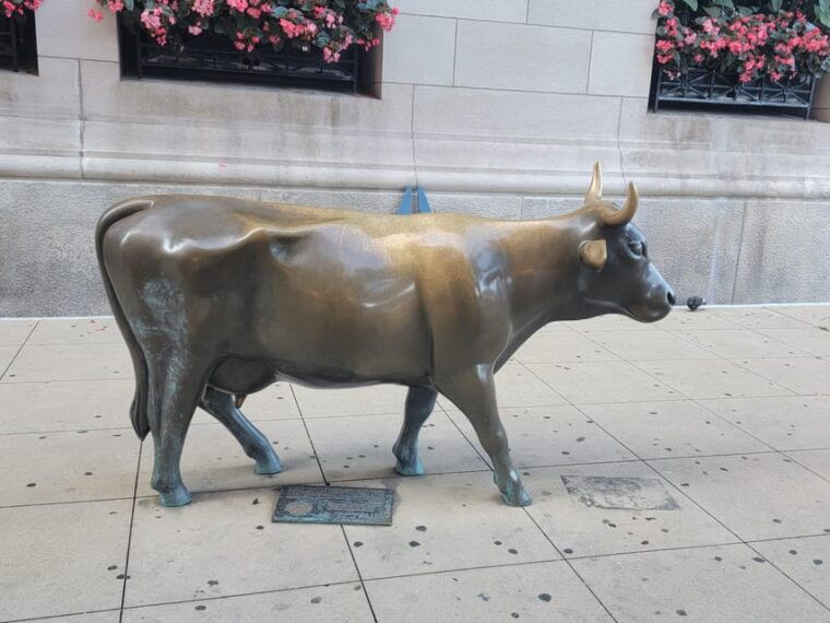 chicago-customizable-private-chicago-scenic-driving-tour