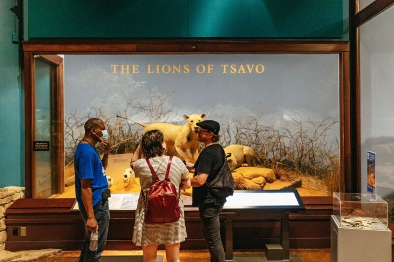 Chicago: Field Museum of Natural History Ticket or VIP Tour - Pricing and Value