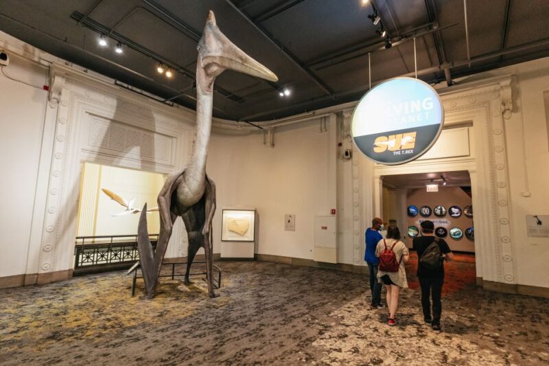 Chicago: Field Museum of Natural History Ticket or VIP Tour - Who Should Consider This Tour?