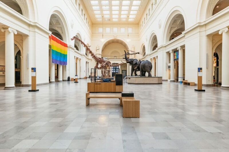 chicago-field-museum-of-natural-history-ticket-or-vip-tour