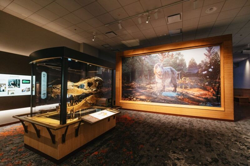 chicago-field-museum-of-natural-history-ticket-or-vip-tour