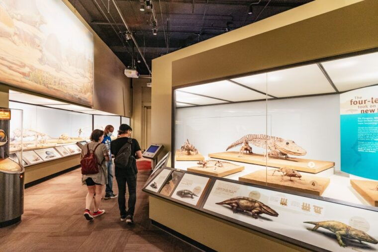 chicago-field-museum-of-natural-history-ticket-or-vip-tour