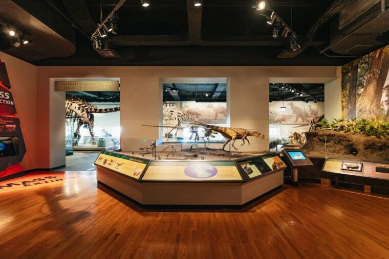 chicago-field-museum-of-natural-history-ticket-or-vip-tour