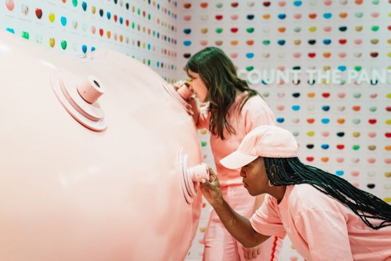 chicago-museum-of-ice-cream-entry-ticket
