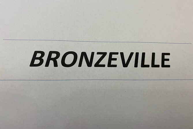 chicago-tour-south-side