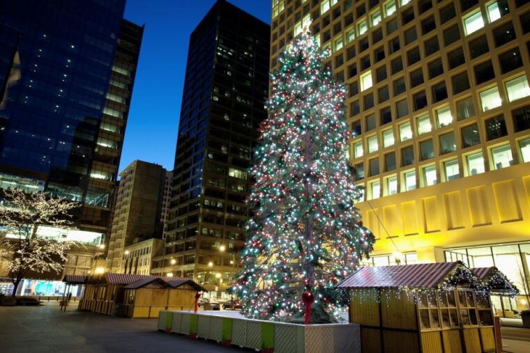 chicagos-festive-lights-a-magical-christmas-journey-2