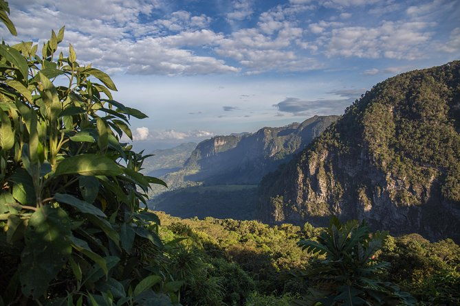 chicaque-cloud-forest-birding