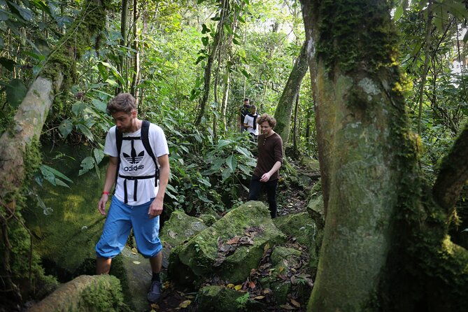 chicaque-cloud-forest-hike