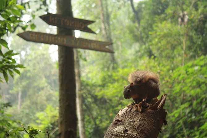 chicaque-natural-park-hiking-or-birdwatching-experience