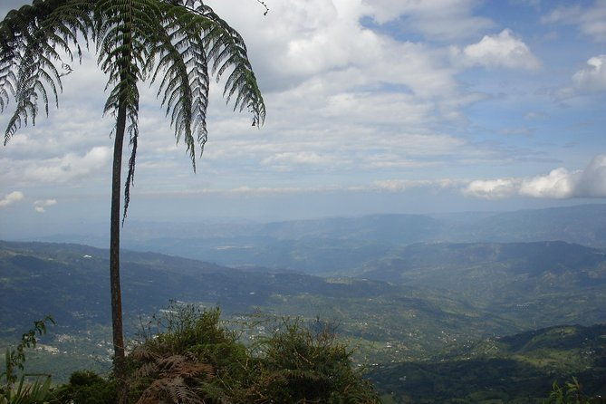 chicaque-natural-park-hiking-or-birdwatching-experience