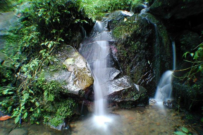 chicaque-natural-park-hiking-or-birdwatching-experience