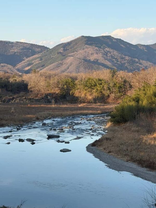 Chichibu Day Trip from Tokyo: Forest Retreat & Scenic Views - FAQ