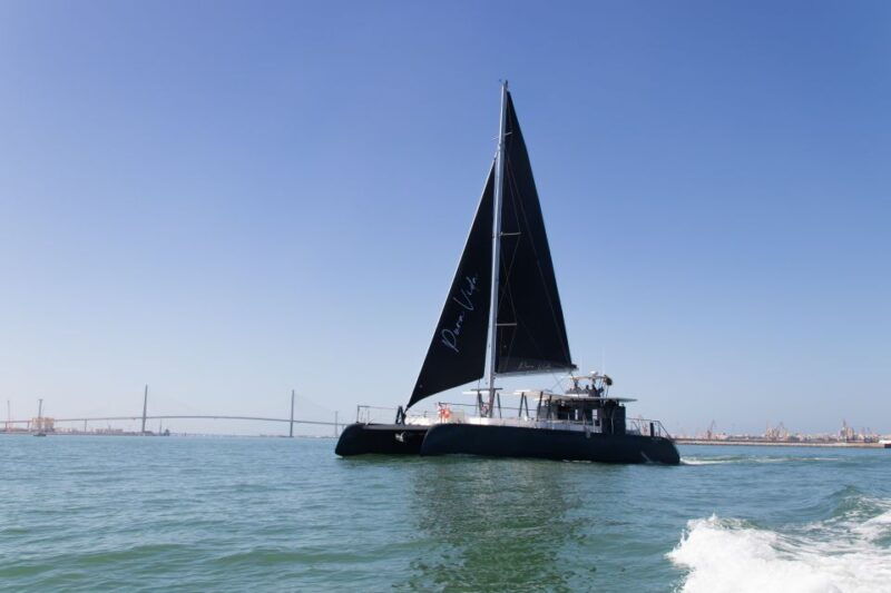 chiclana-de-la-fra-coast-of-sancti-petri-catamaran-tour