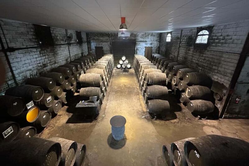 Chiclana de la Frontera: Winery Tour with Wine Tasting - An In-Depth Look at the Winery Tour Experience