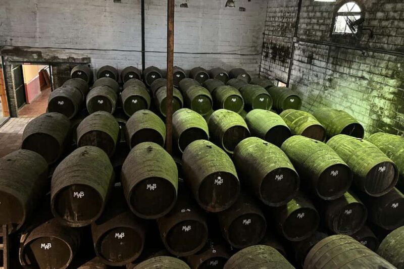 Chiclana de la Frontera: Winery Tour with Wine Tasting - FAQs