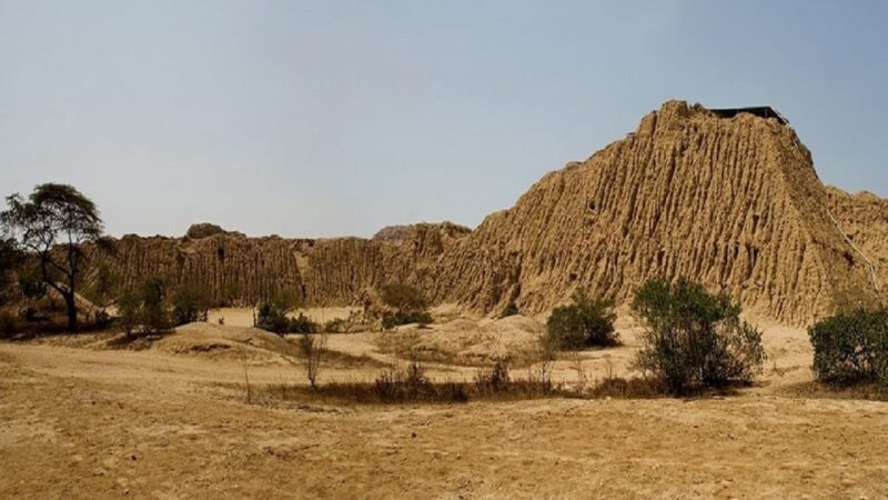 Chiclayo: Tomb of the Lord of Sipan and Site Museum Day Tour - Overall Value and Practicalities
