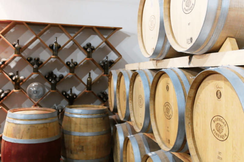 chihuahua-insignia-winery-wine-tasting-experience