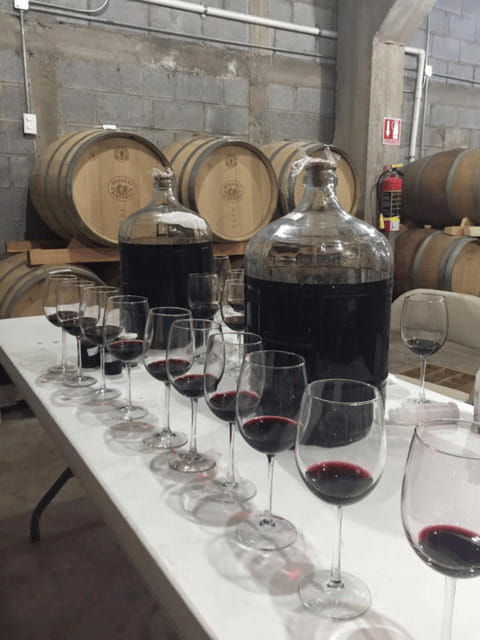 chihuahua-insignia-winery-wine-tasting-experience