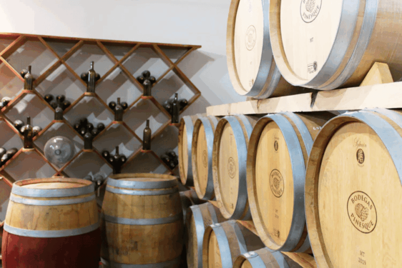 chihuahua-insignia-winery-wine-tasting-experience