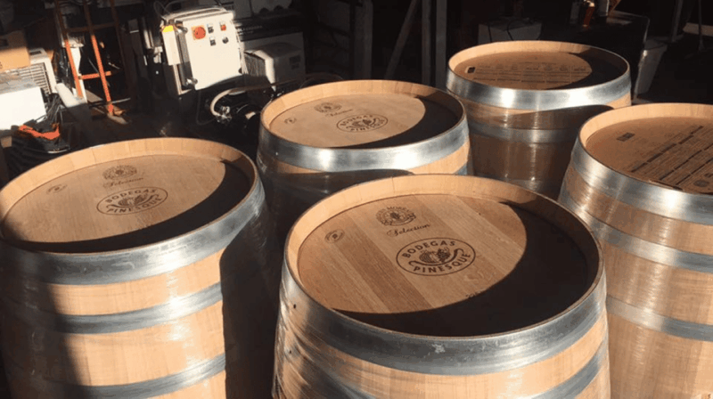 chihuahua-insignia-winery-wine-tasting-experience
