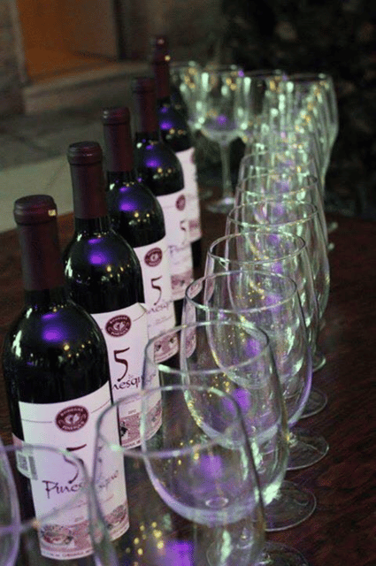 chihuahua-premium-wine-tasting-experience