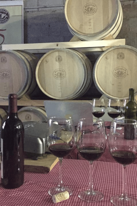 chihuahua-premium-wine-tasting-experience