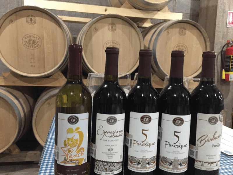 chihuahua-premium-wine-tasting-experience