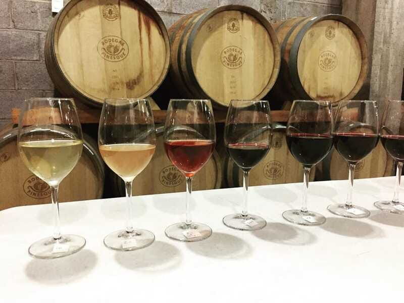 chihuahua-winery-tasting-experience