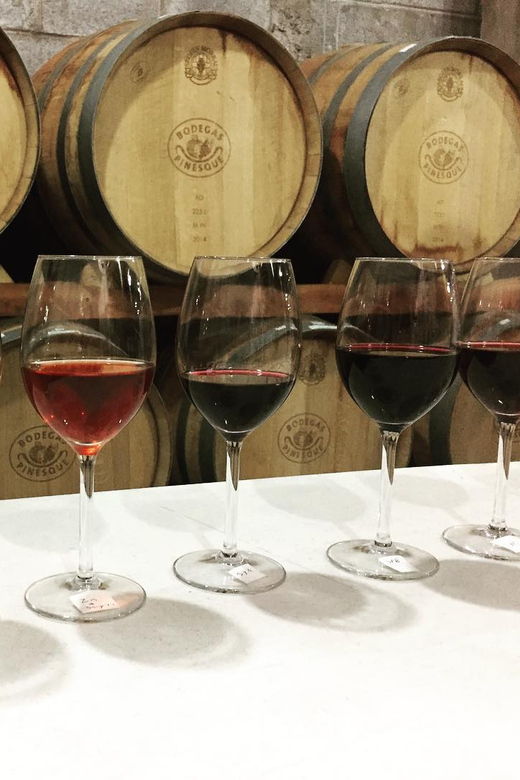 chihuahua-winery-tasting-experience