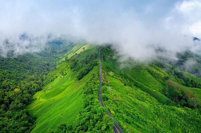 Chikmagalur Coffee Trail 2 Day Private Tour from Bangalore - Who Will Love This Tour?