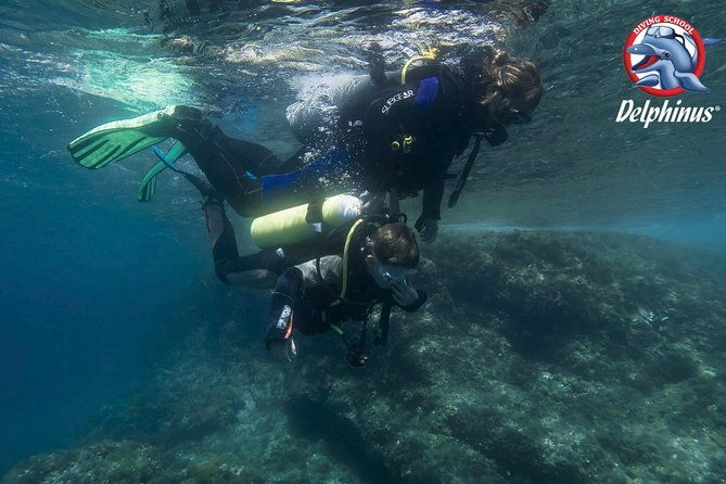 childrens-padi-diving-experience-in-gran-canaria