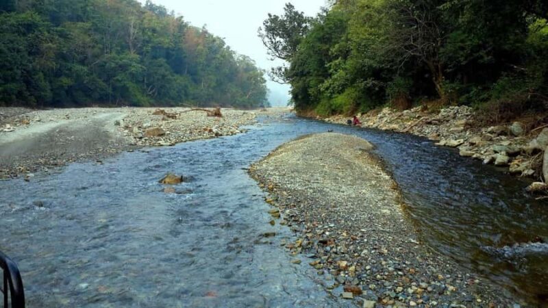Chilla Range: Rajaji National Park Jeep Safari in Rishikesh - Landscape and Wildlife: Why It Matters