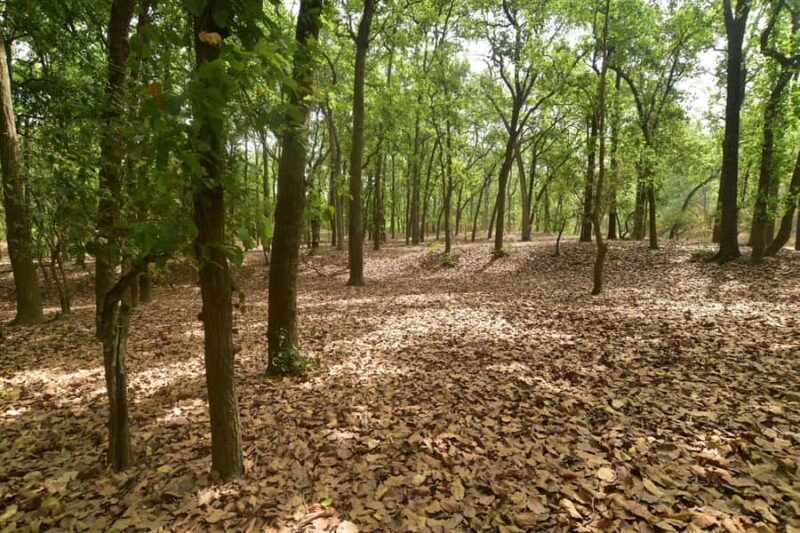 Chilla Range: Rajaji National Park Jeep Safari in Rishikesh - FAQ