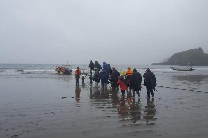 chiloe-island-punihuil-tour