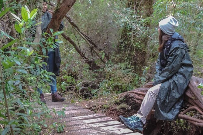 chiloe-national-park-and-chonchi-darwin-route