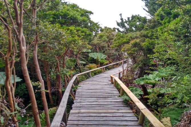 chiloe-national-park-and-chonchi-darwin-route